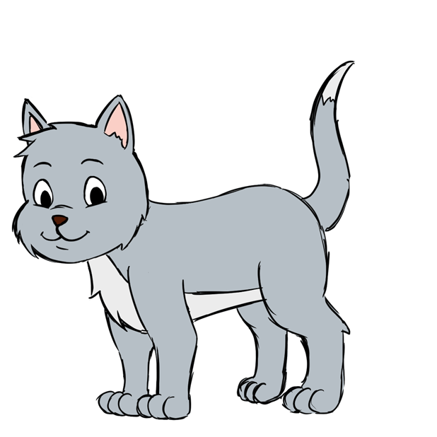Katze