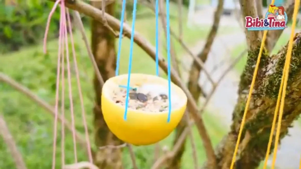 Bastelanleitung Vogelfutter selber machen 