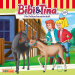 Cover Bibi & Tina - Die Fohlenfreundschaft