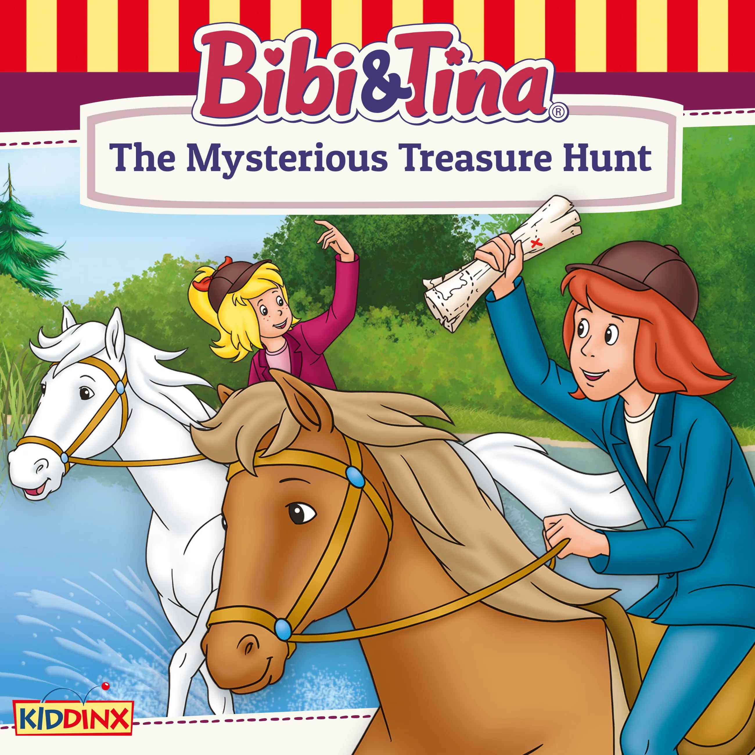 The Mysterious Treasure Hunt Cover