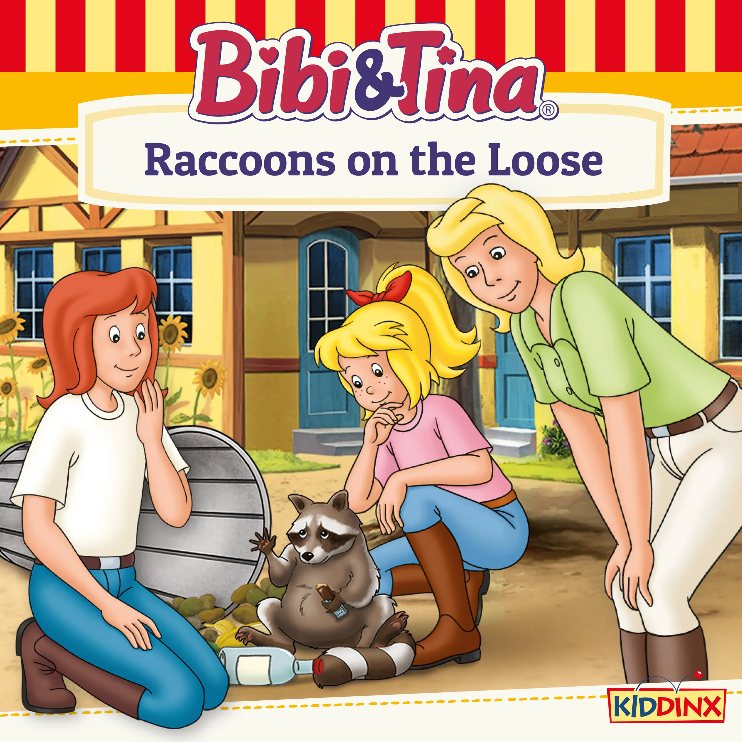 Raccoons on the Loose Cover