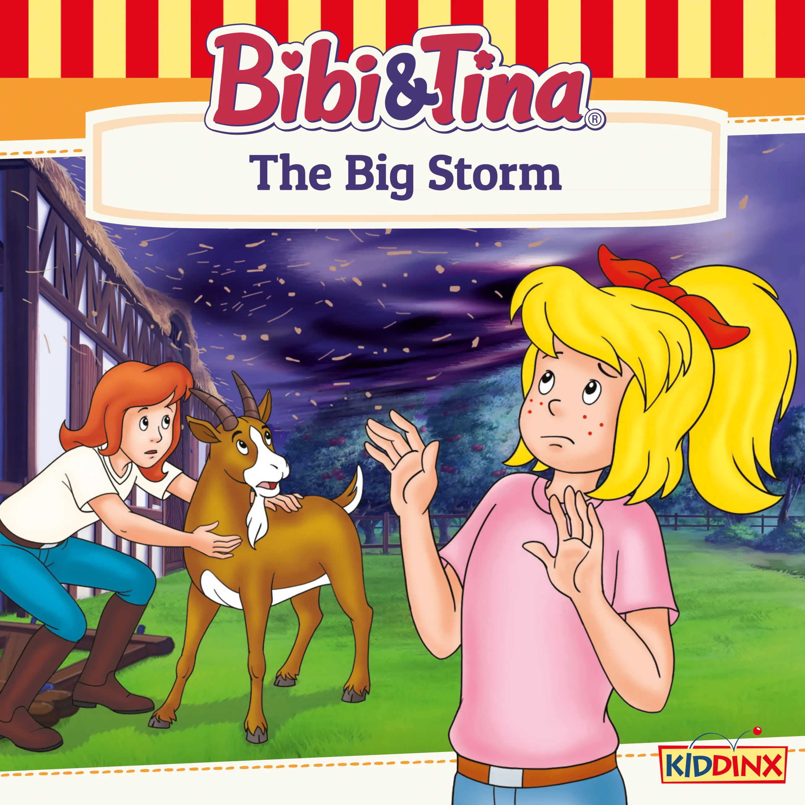 The Big Storm Cover