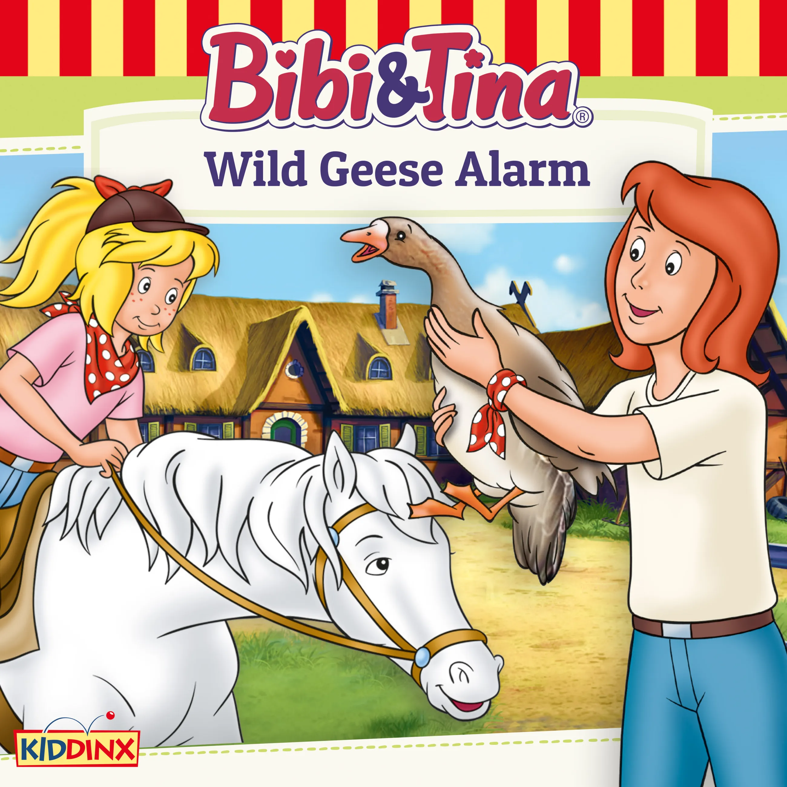 Wild Geese Alarm Cover